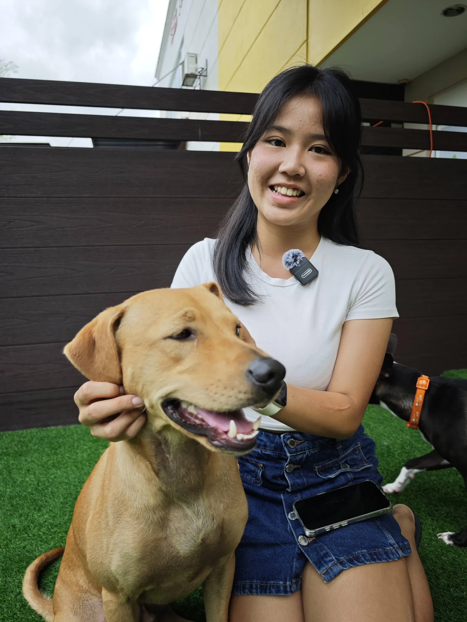Clara from Leo & Friends with some puppies